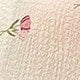 //img.ltwebstatic.com/images3_pi/2024/05/07/c0/1715074698b5a1755d748163610139d466660e4514.jpg