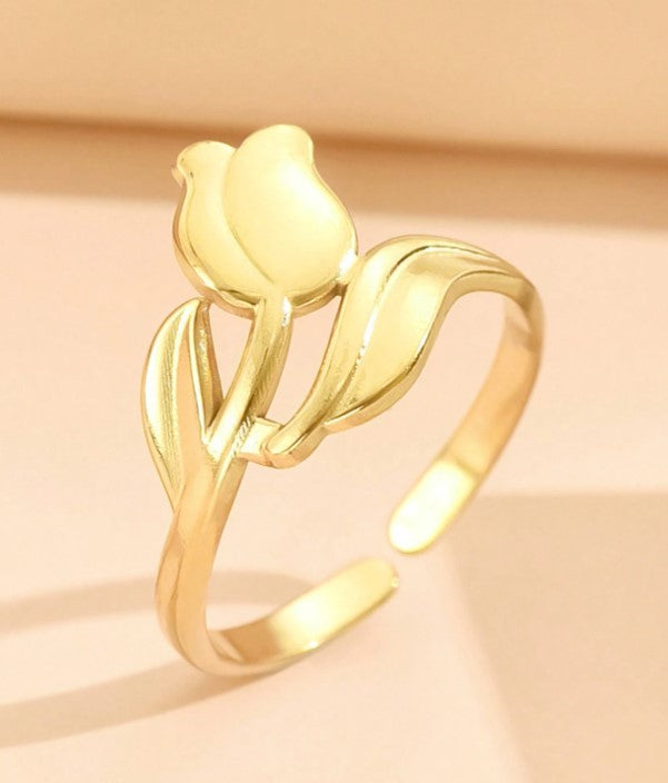 Regalo de San Valentin  "Anillos"